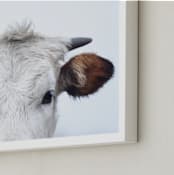 "Wee Staredown" - Art Print in Farm by Amy Carroll - Frame Close-up