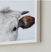 "Wee Staredown" - Art Print in Farm by Amy Carroll - Frame Close-up