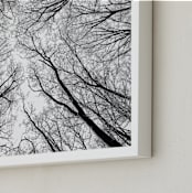 "Lost in the forest" - Art Print in Black and White by Magdalena Kucova - Frame Close-up
