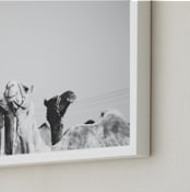 "Leader of the Pack" - Art Print in Black and White by Heather Marie - Frame Close-up