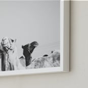 "Leader of the Pack" - Art Print in Black and White by Heather Marie - Frame Close-up