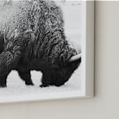 "Living Remnants of the Not-So-Distant Past" - Art Print in Black and White by Shannon Dunlap - Frame Close-up