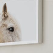 "Le Creme Cheval" - Art Print in Peaches + Cream by Amy Carroll - Frame Close-up