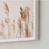 "summer weeds" - Art Print in white by Crystal Lynn Collins - Frame Close-up