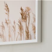 "summer weeds" - Art Print in white by Crystal Lynn Collins - Frame Close-up