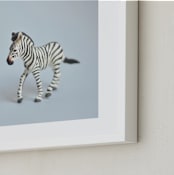 "Oh, Zebra" - Art Print in Soft Grey by Kinga Subject - Frame Close-up