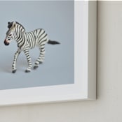 "Oh, Zebra" - Art Print in Soft Grey by Kinga Subject - Frame Close-up