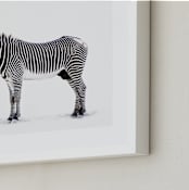 "Counting Stripes" - Art Print in Cream by Lisa Sundin - Frame Close-up