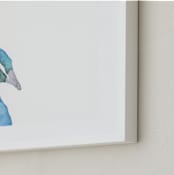 "Parade" - Art Print in Peacock  by Michelle Waldie - Frame Close-up