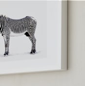 "Counting Stripes" - Art Print in Cream by Lisa Sundin - Frame Close-up