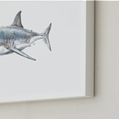 "Shark in Smiling Waters" - Art Print in Shark Gray by Lauren Rogoff - Frame Close-up