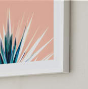 "Pastel Cactus" - Art Print in White by Lisa Sundin - Frame Close-up