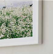 "Dream Field" - Art Print in Garden by Morgan Kendall - Frame Close-up