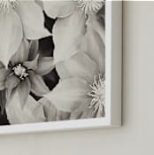 "The Glory of the Morning" - Art Print in Black and White by Sara Heilwagen - Frame Close-up