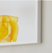 "Minimalist Beauty 3" - Art Print in Yellow Orange by Mary Ann Glynn-Tusa - Frame Close-up