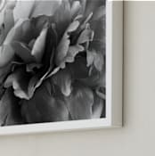 "Honeyed" - Art Print in Shadow by Karen Kaul - Frame Close-up