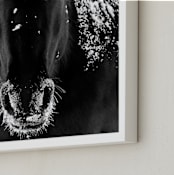 "Frost Bite" - Art Print in Black and White by Leslie Le Coq - Frame Close-up