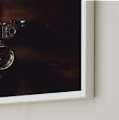 "Chronicle of Cameras" - Art Print in Mahogany by Erin Niehenke - Frame Close-up