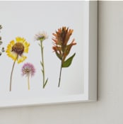 "Spring Gathering" - Art Print in Grey Surprise by Shannon - Frame Close-up