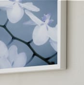 "Orchids In Flight" - Art Print in Violet Blue by Debra Butler - Frame Close-up