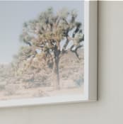 "Joshua Tree #1" - Art Print in Serene by Shannon Howard - Frame Close-up