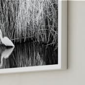 "Safe place" - Art Print in black and white by NSMARK - Frame Close-up