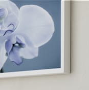 "Orchid Beauty" - Art Print in Violet Blue by Debra Butler - Frame Close-up