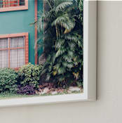 "La Casita" - Art Print in Tropical Green by Kaitlin Rebesco - Frame Close-up