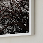 "Agnes Waters III" - Art Print in Mono by Blustery August - Frame Close-up