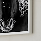 "Frost Bite" - Art Print in Black and White by Leslie Le Coq - Frame Close-up