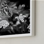 "Painted Lady" - Art Print in Black by Donna Rosser - Frame Close-up