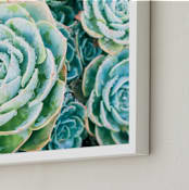 "Morning Succulent" - Art Print in Aqua by Debra Butler - Frame Close-up