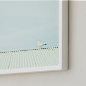 "Seagulls On The Roof" - Art Print in Pastel Blue by Alexandra Feo - Frame Close-up