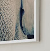 "Ele" - Art Print in Elefant grey by Johanna Phillips Huuva - Frame Close-up