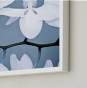 "Orchid Wings" - Art Print in violet by Debra Butler - Frame Close-up
