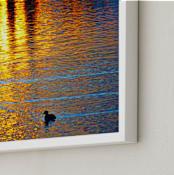 "In the gilded waters" - Art Print in Multi-colored by NSMARK - Frame Close-up