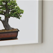 "bonsai" - Art Print in green by Ramoncita - aticnomar - Frame Close-up