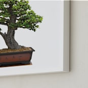 "bonsai" - Art Print in green by Ramoncita - aticnomar - Frame Close-up