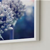 "Allium in Indigo" - Art Print in Indigo by Karen Kaul - Frame Close-up
