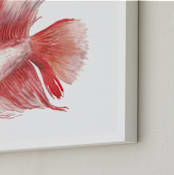 "Betta" - Art Print in True red by Lauren Rogoff - Frame Close-up