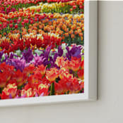 "Garden Full of Springtime" - Art Print in tulip red orange by Sea and Sky - Frame Close-up