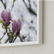 "Sugar Magnolia" - Art Print in Magnolia Pink by Karen Kaul - Frame Close-up