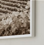 "Vineyard Seasons: June  No. 1" - Art Print in Warm Sepia by Shannon Howard - Frame Close-up