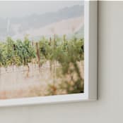 "Sonoma Morning No. 1" - Art Print in Summer Vine by Shannon Howard - Frame Close-up