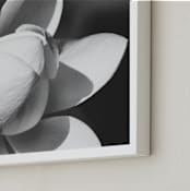 "Petal Series Nº1" - Art Print in pale grey by Anne Ciotola - Frame Close-up