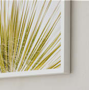 "Yucca Rays" - Art Print in Green by Mike Sunu - Frame Close-up