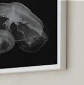 "Graceful Jelly" - Art Print in Smolder Black by Hollie Renner Photography - Frame Close-up