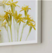 "Micro flowers" - Art Print in yellow by Eliane Lamb - Frame Close-up