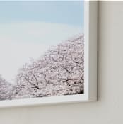 "Hanami" - Art Print in Cherry Blossom by Krissy Bengtson - Frame Close-up