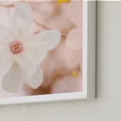 "Magnolia in White" - Art Print in Light Pink by Kate Dailey - Frame Close-up